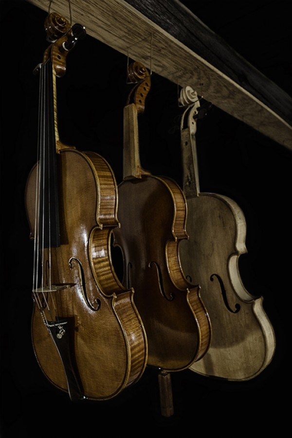 Retrospección Musical